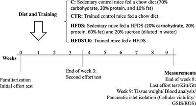 Moderate Exercise Training Combined With a High-Fat and Sucrose Diet Protects Pancreatic Islet Function in Male C57BL/6J Mice